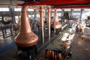 Boben soovib kõigile head Hiina uut aastat